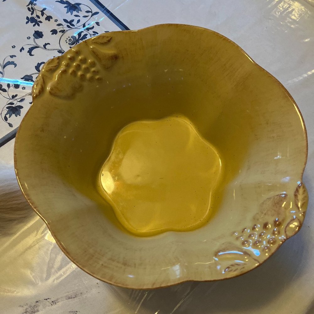 Casa Stone Madeira Harvest Casafina Pasta Bowl Server 12" Hand Painted Portugal